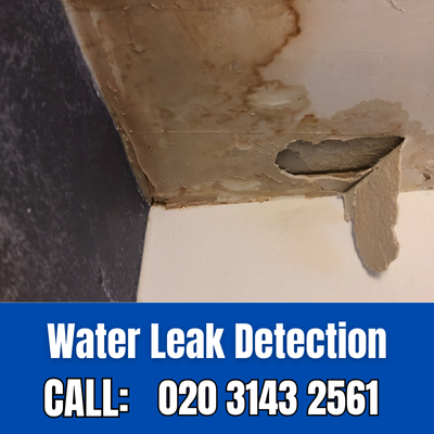 Expert Water Leak Detection Services in Clapham | Clapham Leak Detection